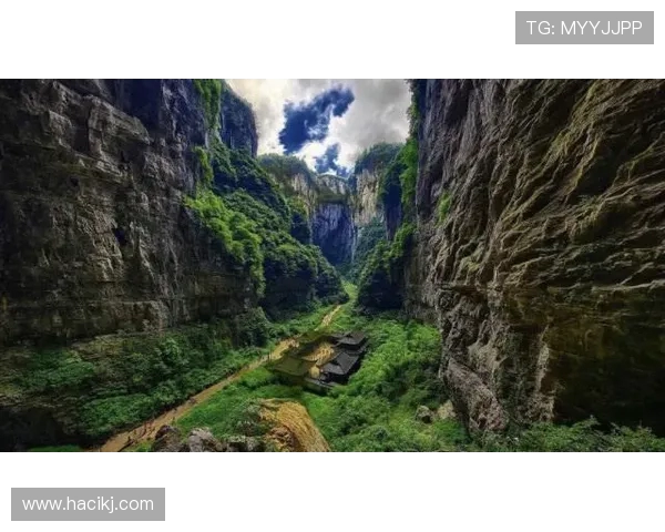 濮嗗反浣╁洜鐥呮瘨鎰熸煋缂哄腑鐨囬┈涓栦勘鏉鎴橈紝閾舵渤鎴樿埌闃靛鎶樻崯杩庝弗宄昏€冮獙